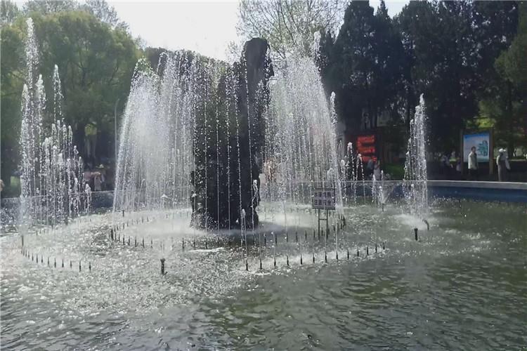 水池和旱喷中选用的大多数喷泉设备均采用低压类型，但是由于低压水泵成本较高